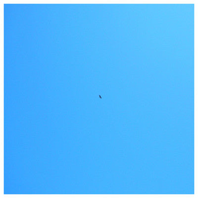 Cracked Vessel "No Path" LP