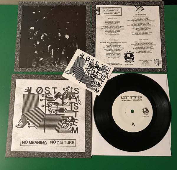 Lost System "No Meaning No Culture" 7"