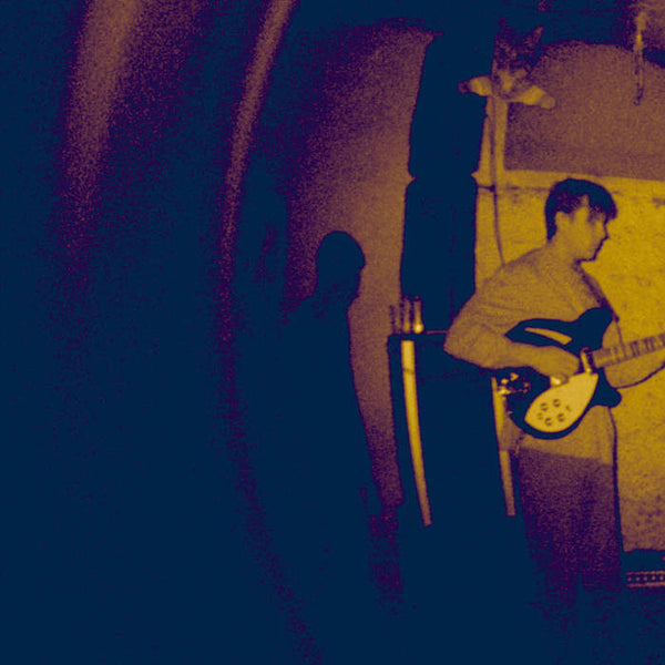 Real Numbers "Wordless Wonder" LP