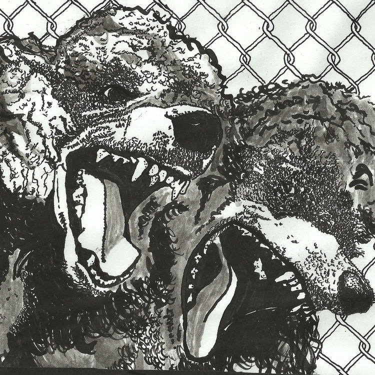 Urochromes "Night Bully" 7"