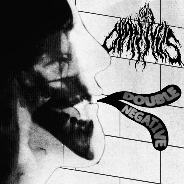 Channels , The "Double Negative" LP