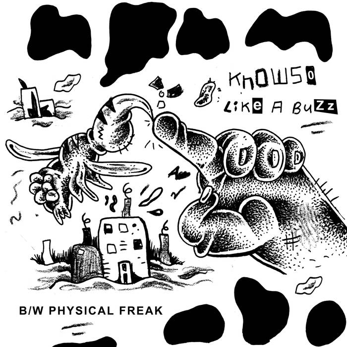 KNOWSO "Like A Buzz" 7"