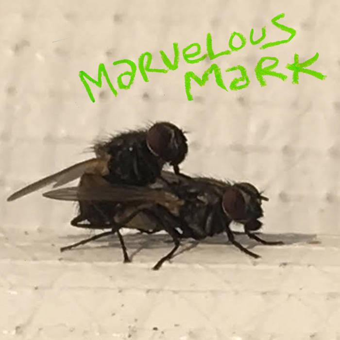 Marvelous Mark "Buzzin" LP