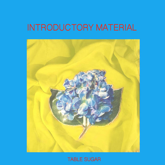 Table Sugar "Introductory Material" LP