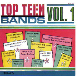 V/A "Top Teen Bands Vol. 1" LP
