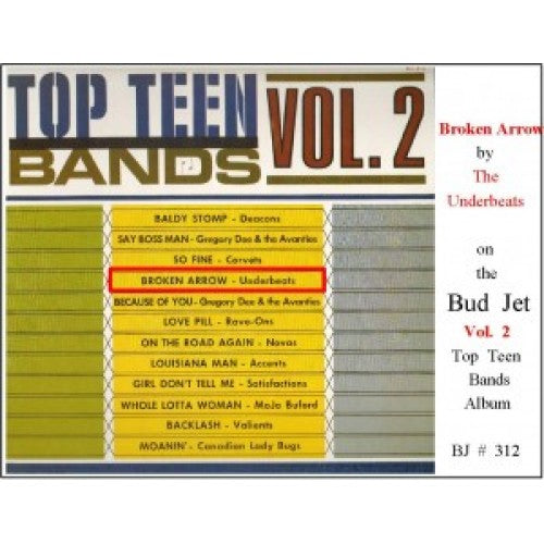 V/A "Top Teen Bands Vol. 2" LP