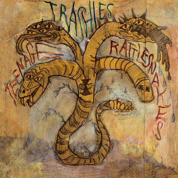 Trashies , The "Teenage Rattlesnakes" LP