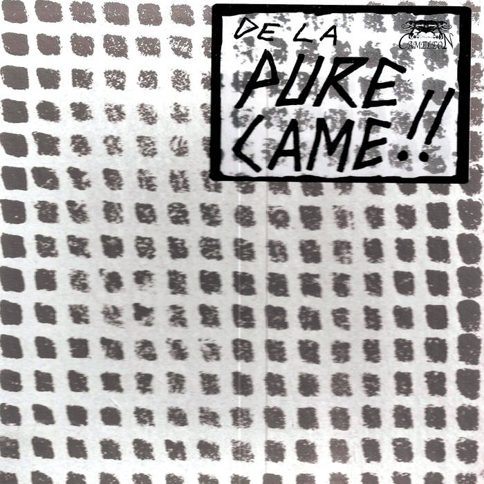 V/A De La Came Punk! 8x7" BOX