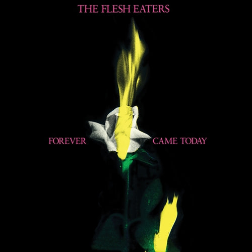 Flesh Eaters, The "Forever Came Today" LP