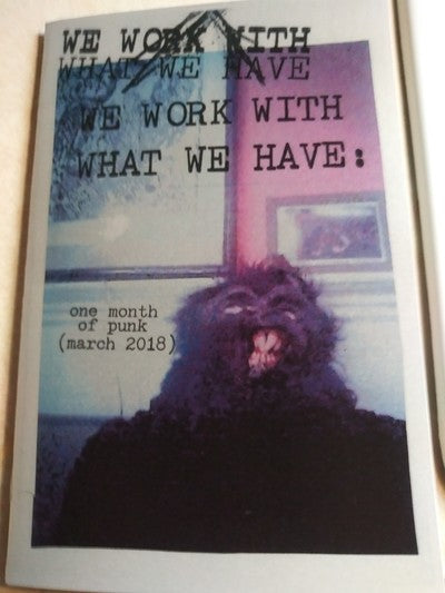 We Work With What We Have Photo Zine